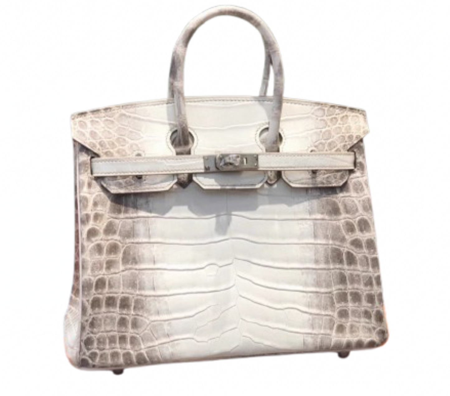Corina Handbag
