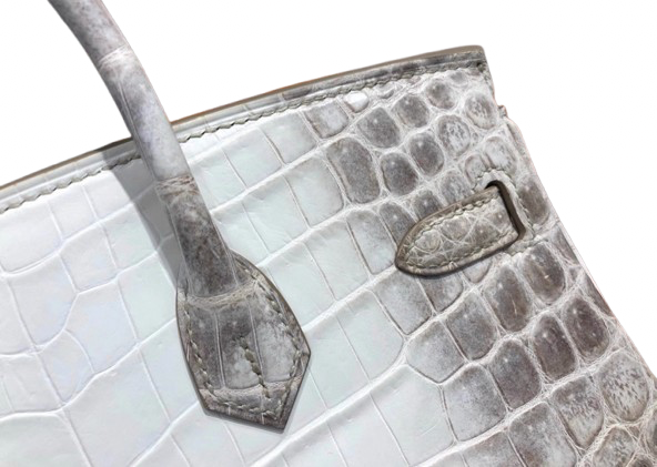 Corina Handbag